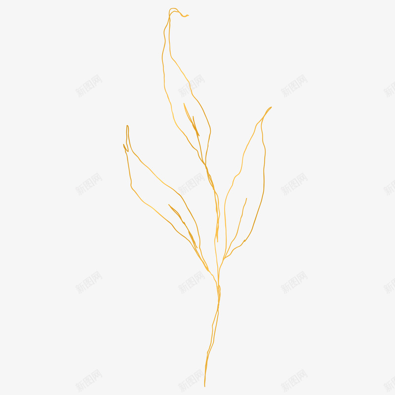 botanical leaves  sketched florals植物花瓣png免抠素材_新图网 https://ixintu.com 植物 花瓣