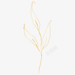 botanical leaves  sketched florals植物花瓣素材