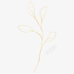 botanical leaves  sketched florals植物花瓣素材