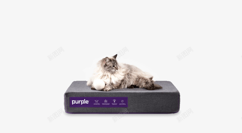 Pet Bed Small床垫png免抠素材_新图网 https://ixintu.com 床垫