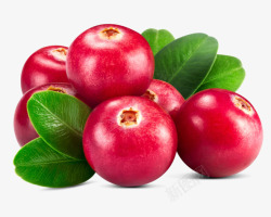 水果山楂简单食物类素材