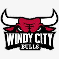 Windy City Bulls Logo 是美式篮球LOGO呀素材