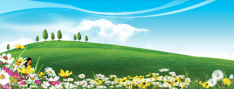 春天小清新绿化背景psd设计背景_新图网 https://ixintu.com 春天 春日 小清新 绿色 花瓣 菊花 草原 海报banner 文艺 简约