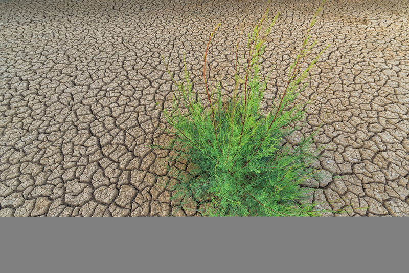 地球干燥生态自然背景jpg设计背景_新图网 https://ixintu.com 地球 生态学 夏天 打破 纹理 字段 粘土 干燥 性质 环境 绿色 分支 机构 灰色 质感