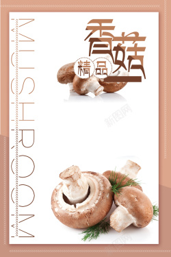 蘑菇饮食时尚创意精品香菇海报背景素材高清图片