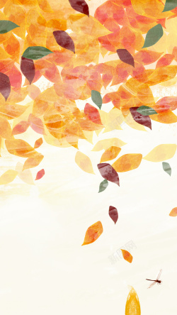 秋蟹橙色手绘落叶背景高清图片