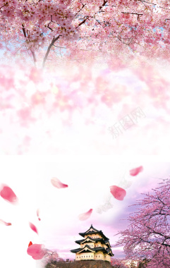 樱花季旅游海报背景素材背景