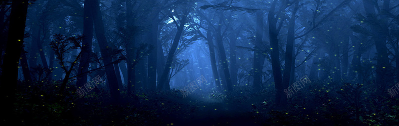 梦幻黑色星光森林背景背景