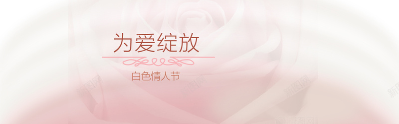 粉色浪漫玫瑰花背景背景