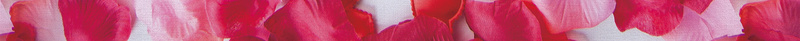 简约光棍节促销海报背景psdpsd设计背景_新图网 https://ixintu.com 简约 光棍节 促销 海报背景 psd 玫瑰 花瓣 告别单身 双11