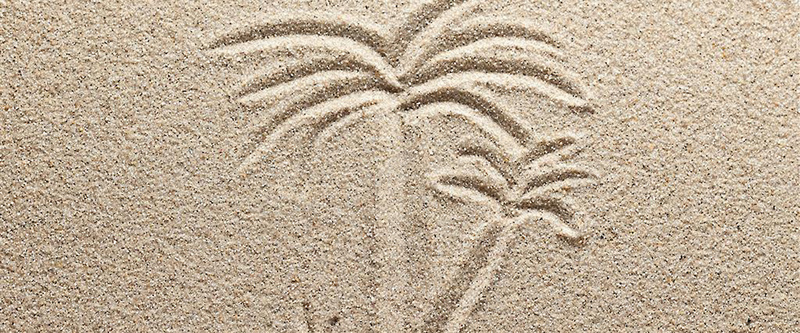 沙子背景装饰jpg设计背景_新图网 https://ixintu.com 海报banner 背景装饰 树木 沙子 沙粒