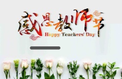 简洁教师创意小清新简洁感恩教师节康乃馨高清图片
