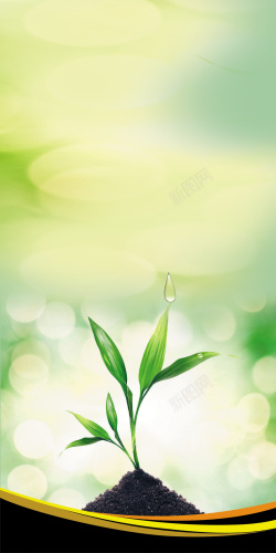 植物小苗清新绿色植物海报背景高清图片