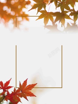 秋天打折金秋枫叶简约秋季促销打折高清图片