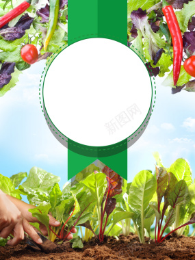 矢量创意绿色蔬菜海报背景背景