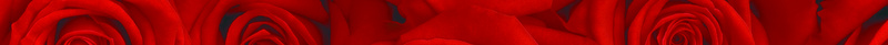 红色玫瑰花情人节海报psd设计背景_新图网 https://ixintu.com 情人节海报 玫瑰底纹 玫瑰花 信纸 红色 浪漫 爱情 花朵