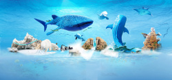 动物世界蓝色蓝色海底世界背景装饰高清图片