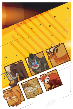 爱护动物海报黄色创意插画保护野生动物背景高清图片