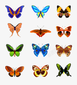 彩色的昆虫彩色蝴蝶PNG图片蔬菜高清图片