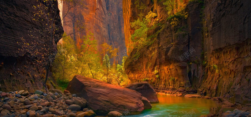 金色秋天穿梭在锡安国家公园山崖间的处女河背景