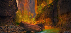 锡安金色秋天穿梭在锡安国家公园山崖间的处女河高清图片