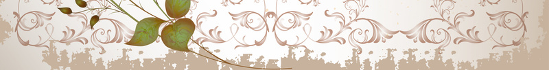 欧式花朵38妇女节海报背景素材jpg设计背景_新图网 https://ixintu.com 欧式 简约 花朵 花边 边框 矢量 女人节 女王节 38 妇女节 海报 背景 素材
