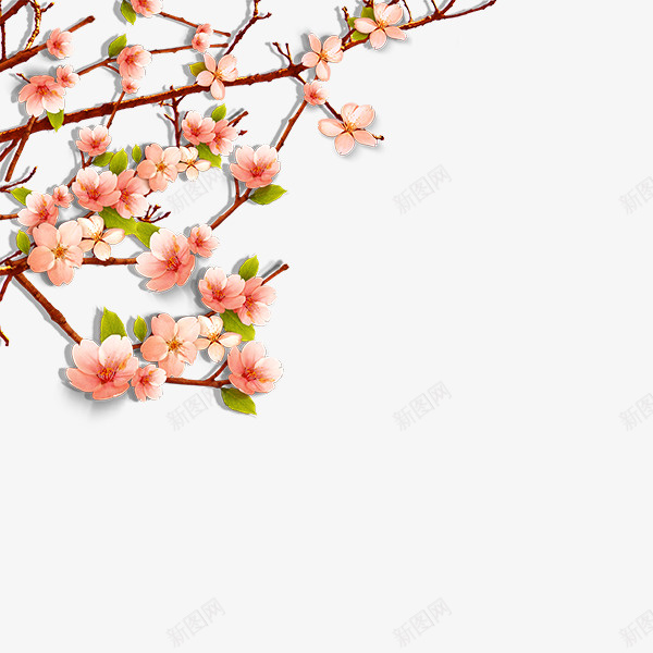 一片漂亮的花png免抠素材_新图网 https://ixintu.com 树枝 树叶 欣赏 植物