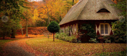 秋季枫林唯美秋季枫叶小屋背景高清图片