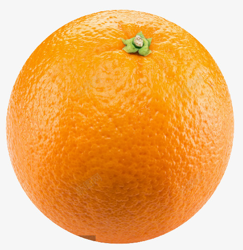 橙子一个水果png免抠素材_新图网 https://ixintu.com 橙 子 水 果