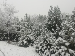 静默暮色茫茫雪舞静默高清图片