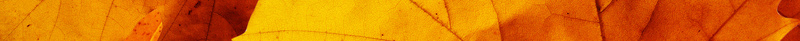 美丽的枫叶jpg设计背景_新图网 https://ixintu.com 枫叶 秋天 底图纹 橙色 黄色背景 黄色树叶 悲伤 秋意 忧伤