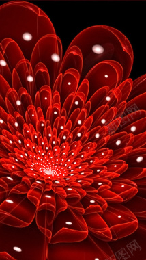 红色光效花朵背景图背景