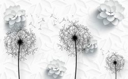 黑白蒲公英白色立体花纹背景高清图片