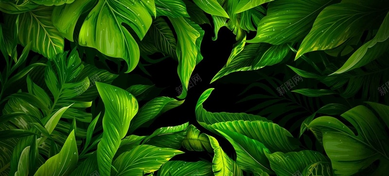 绿色植物背景背景
