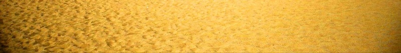 宁夏旅游海报背景psd设计背景_新图网 https://ixintu.com 专列 团购 宁夏 旅游 沙漠 西域 西域风 骆驼 黄色