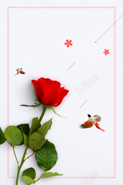 清新玫瑰简约边框平面广告背景
