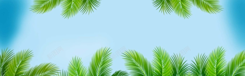 绿色叶子背景psd设计背景_新图网 https://ixintu.com 绿色 简约 抽象 芭蕉 棕榈 椰树 椰子 海报banner 文艺 小清新