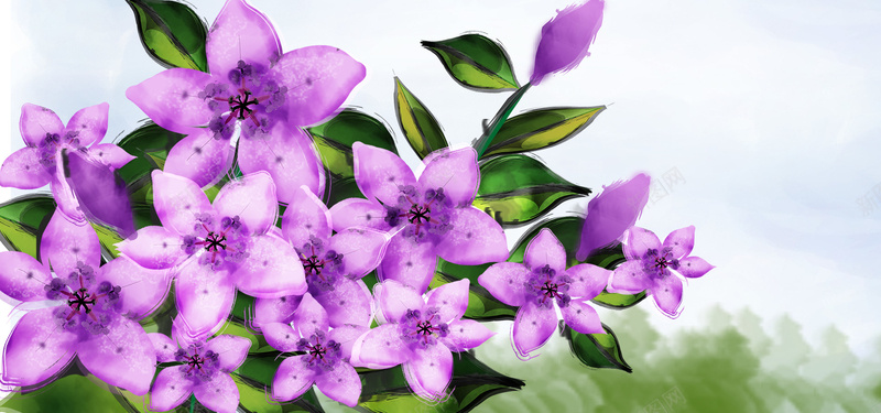 手绘紫色花朵背景psd设计背景_新图网 https://ixintu.com 花瓣 盛开的花 手绘画 紫色 紫色花朵 海报banner 卡通 童趣 手绘
