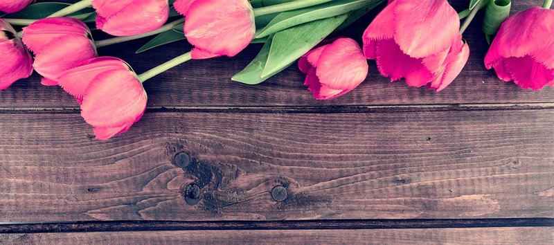 粉色花朵木头背景图背景