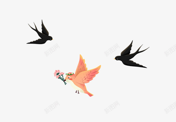 燕子和彩色小鸟png免抠素材_新图网 https://ixintu.com 叼着东西的小鸟 小燕子 彩色鸟 燕子 鸟