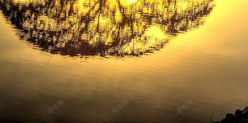 金色的夕阳浪漫背景图jpg设计背景_新图网 https://ixintu.com 金色 夕阳 浪漫 倒影 树木 大树 棕色 摄影 风景