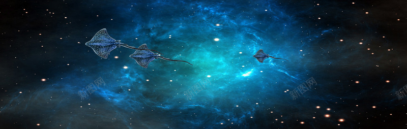 深蓝星空线条纹理水母背景背景