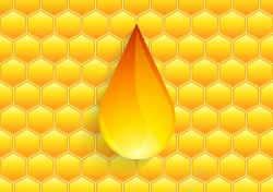 蜂房可爱简约蜂蜜海报画册矢量背景素材高清图片
