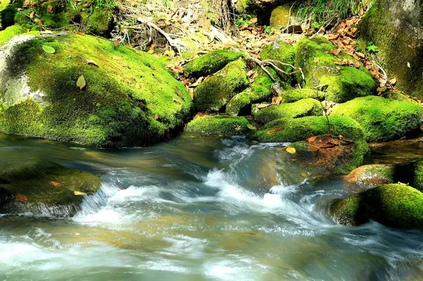 伊春天然氧吧png_新图网 https://ixintu.com 风景 雪景 氧吧 大自然