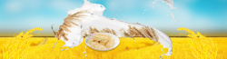 淘宝牛淘宝食品燕麦片牛制品金黄海报背景高清图片