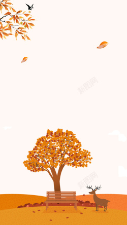落在地面的枫叶秋季秋天黄色枫叶飘落H5背景高清图片