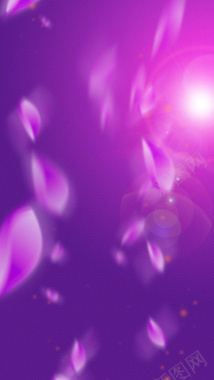 紫色浪漫花瓣H5背景背景