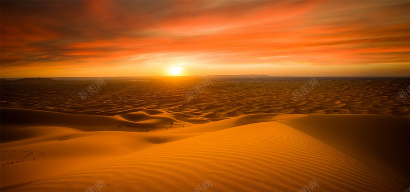 金色的沙漠背景背景