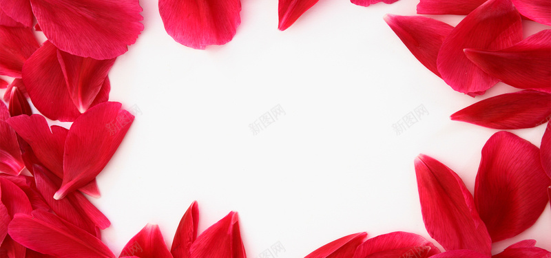 红色玫瑰花瓣背景背景