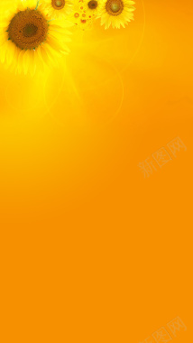 黄色橙色向日葵H5背景背景